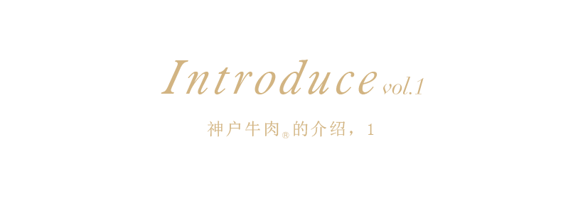 introduce_shn_01.png